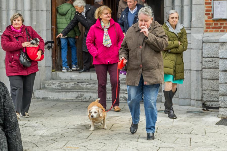 Sint-Hubertusviering met dierenzegening © Frans Verwerft