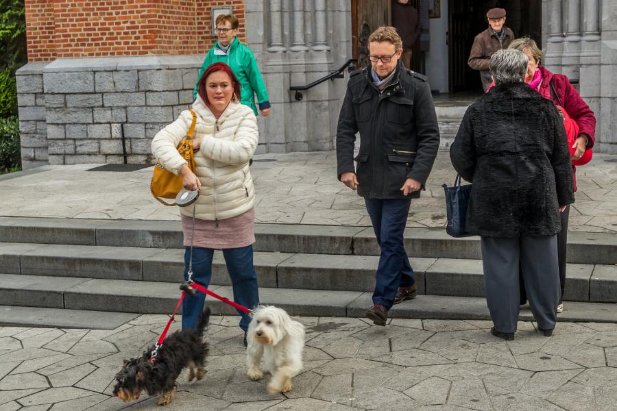 Sint-Hubertusviering met dierenzegening © Frans Verwerft