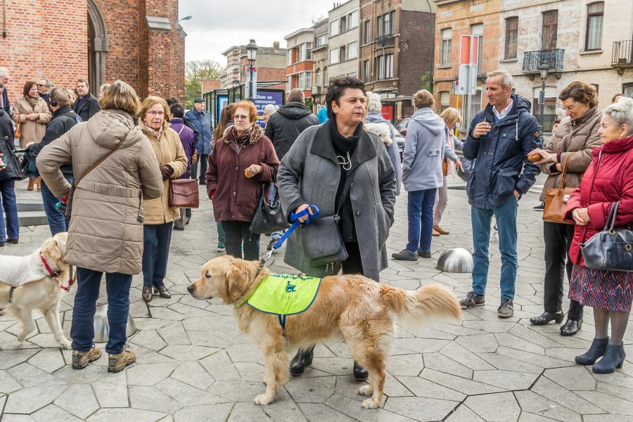 Sint-Hubertusviering met dierenzegening © Frans Verwerft