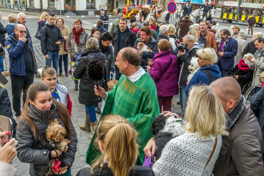 Sint-Hubertusviering met dierenzegening © Frans Verwerft