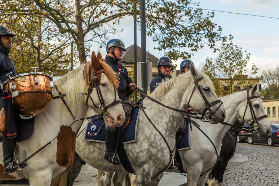 Sint-Hubertusviering met dierenzegening © Frans Verwerft