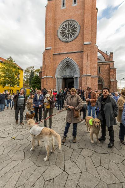 Sint-Hubertusviering met dierenzegening © Frans Verwerft