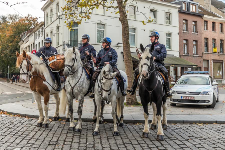 Sint-Hubertusviering met dierenzegening © Frans Verwerft