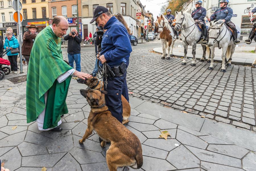 Sint-Hubertusviering met dierenzegening © Frans Verwerft