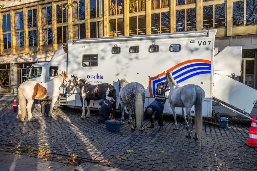 Sint-Hubertusviering met dierenzegening © Frans Verwerft