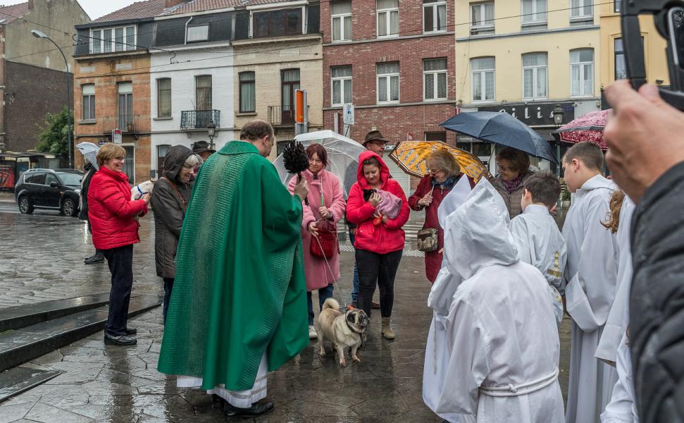 8e Sint Hubertus dierenzegening 2019 © Francis Gerits