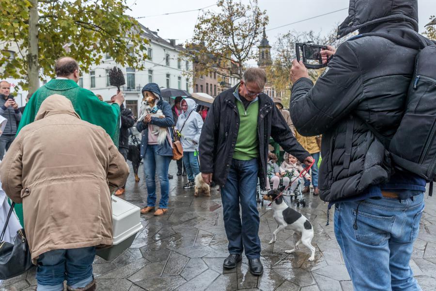 8e Sint Hubertus dierenzegening 2019 © Francis Gerits