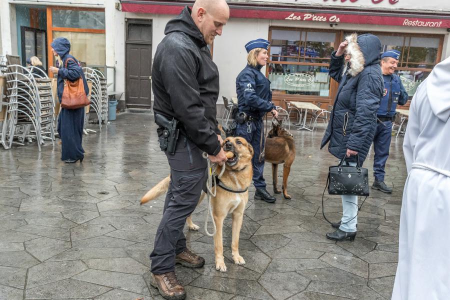 8e Sint Hubertus dierenzegening 2019 © Francis Gerits