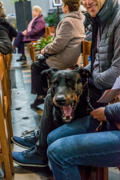 8e Sint Hubertus dierenzegening 2019 © Frans Verwerft