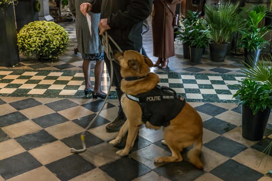 8e Sint Hubertus dierenzegening 2019 © Frans Verwerft