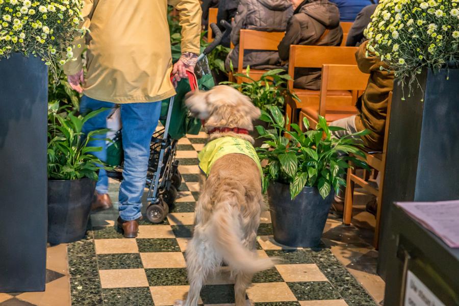 8e Sint Hubertus dierenzegening 2019 © Frans Verwerft