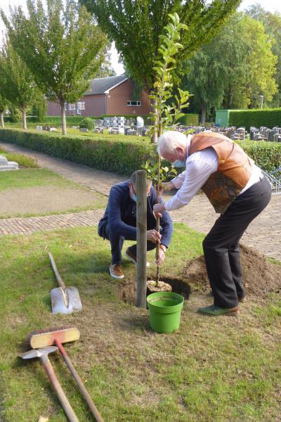 Laudato Si boom in Olen © Cis Marinus