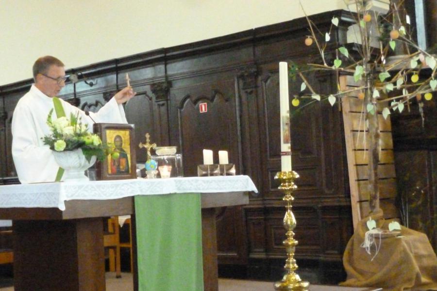 Een pluimappelkruisboom in de kerk © Cis Marinus