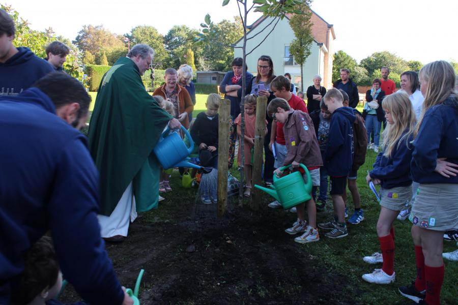De boom mag niets tekort komen © RvH
