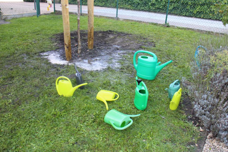 Hij zal zeket water genoeg gekregen hebben © RvH