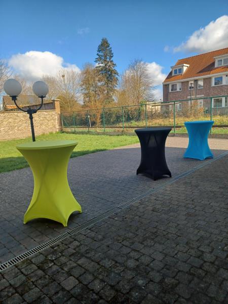 Terras 