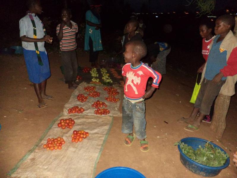 kinderen verdienen 's avonds hun brood door verkoop van zelf geteelde groenten © ZLJM
