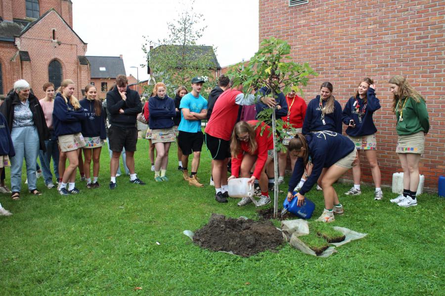 De vijgenboom wordt geplant © RvH