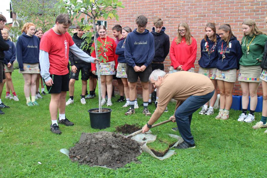 De vijgenboom wordt geplant © RvH