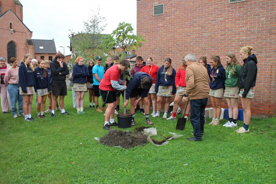 De vijgenboom wordt geplant © RvH