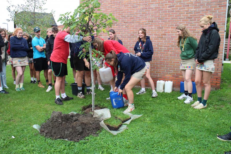 De boom krijgt goed wat water © RvH