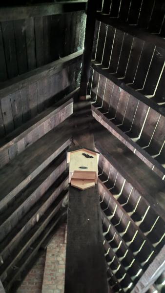 Een kleine vleermuizenkast op de zolder van de sacristie © Jan Swanckaert