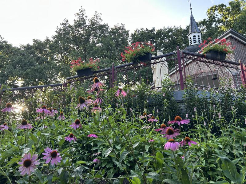 zomer in het Rosariumpark © bedevaarten