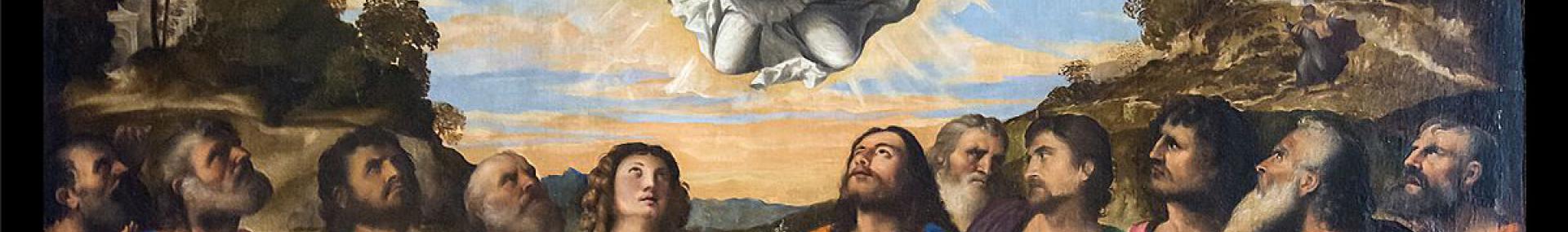 Tenhemelopneming van Maria, 1514, Palma Vecchio Tenhemelopneming van Maria, 1514, Palma Vecchio