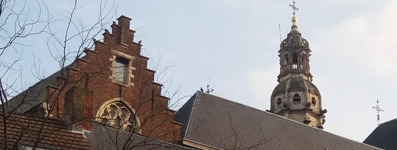 Sint-Pauluskerk toren en kloosterdak © Sint-Pauluskerk Antwerpen