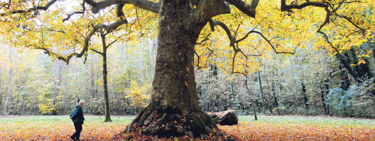 “Het voorrang geven  op basis van leeftijd leidde tot weinig ophef en ongerustheid.” © rr