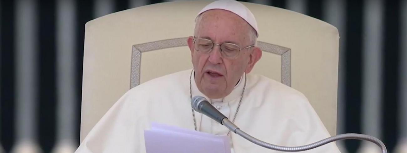 Paus Franciscus tijdens zijn catechese op de algemene audiëntie van woensdag 20 juni 2018 