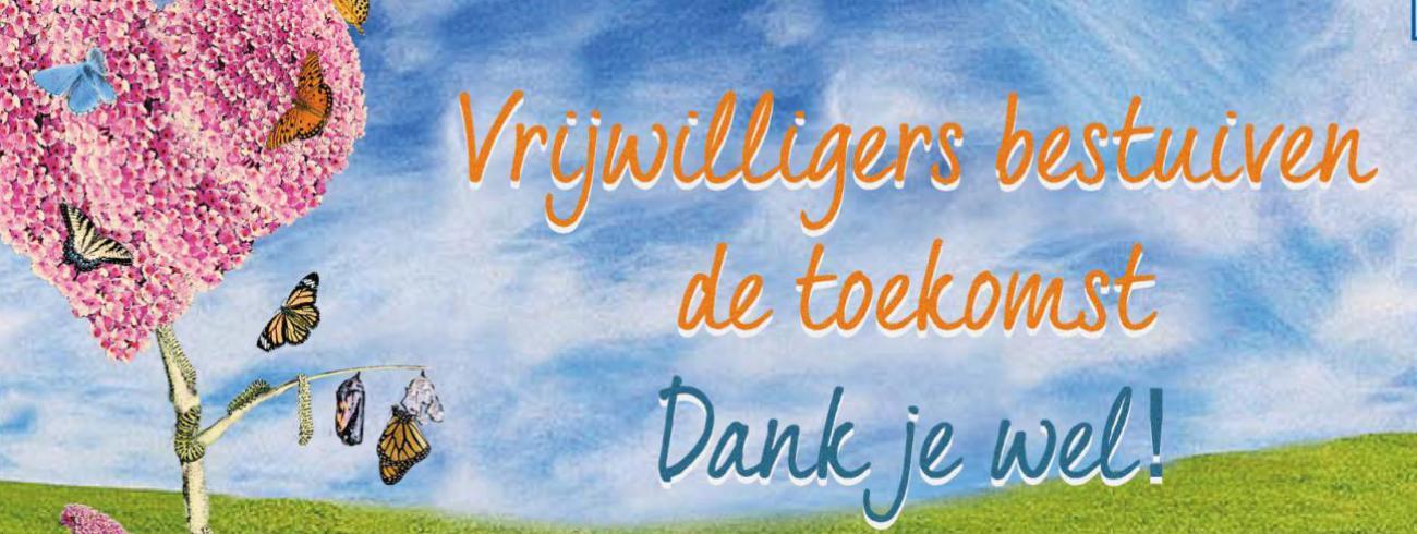 Week van de vrijwilliger © Vlaams steunpunt vrijwilligerswerk