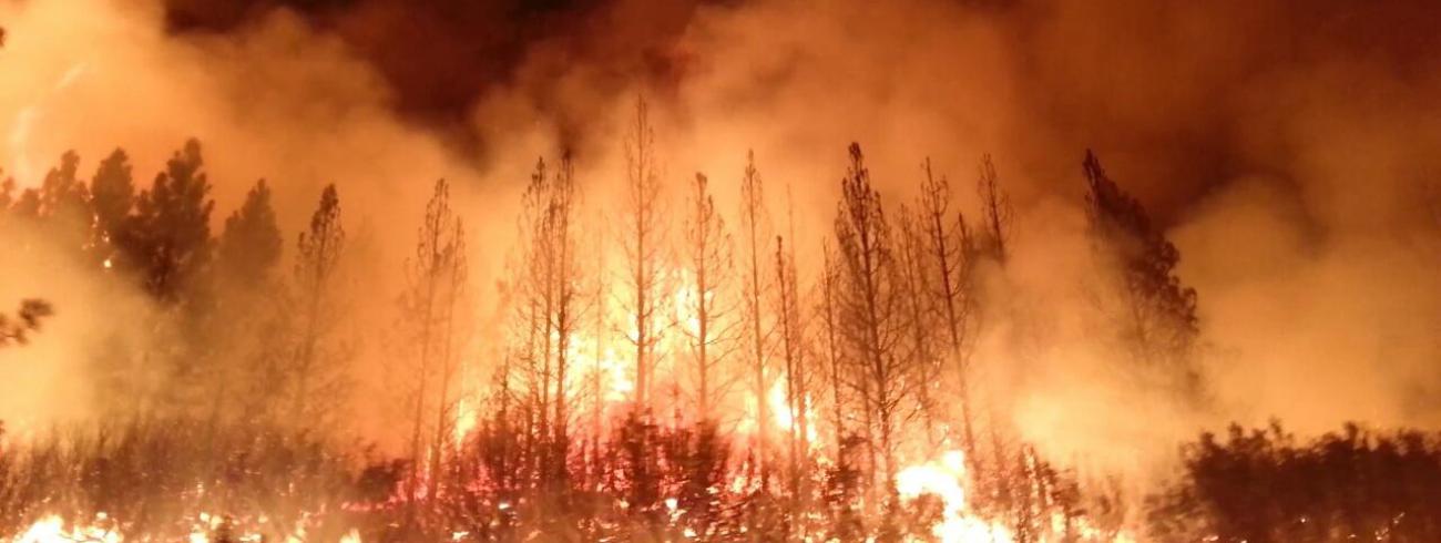 De klimaatverandering wacht niet © Wikipedia