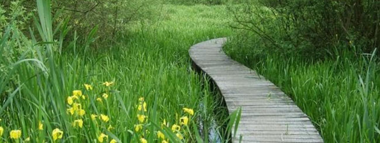 Oprichting van de PE - houden pad door de natuur © Pastorale Eenheid Heilige Augustinus