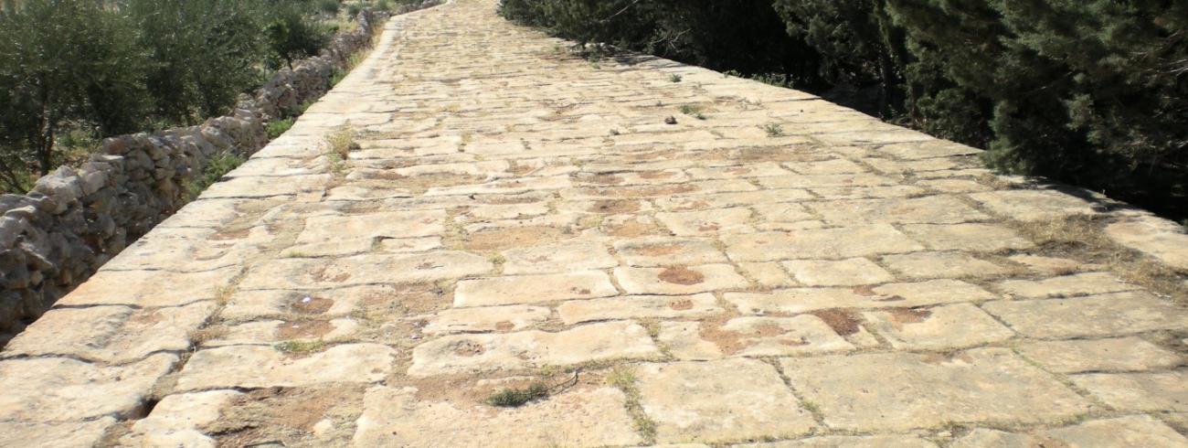 Weg van handelingen © Bisdom Antwerpen