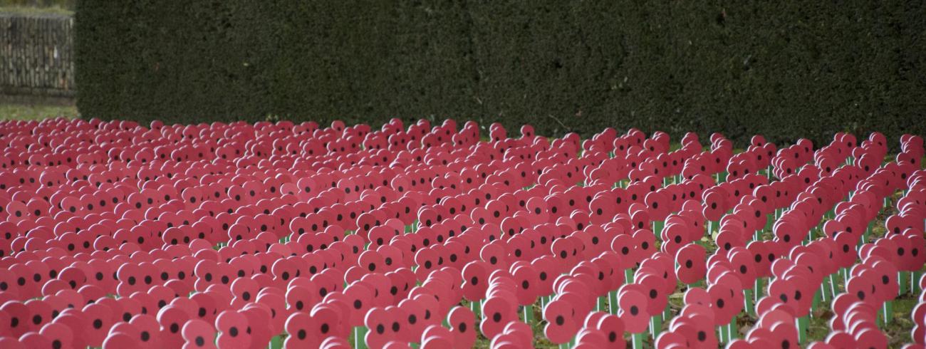 Poppies © RM - Krekedal Kortemark