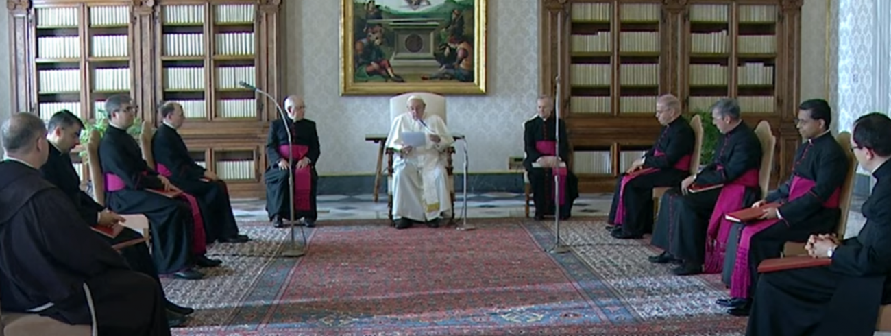 Paus Franciscus tijdens de algemene audiëntie van woensdag 25 november 2020 © VaticanMedia