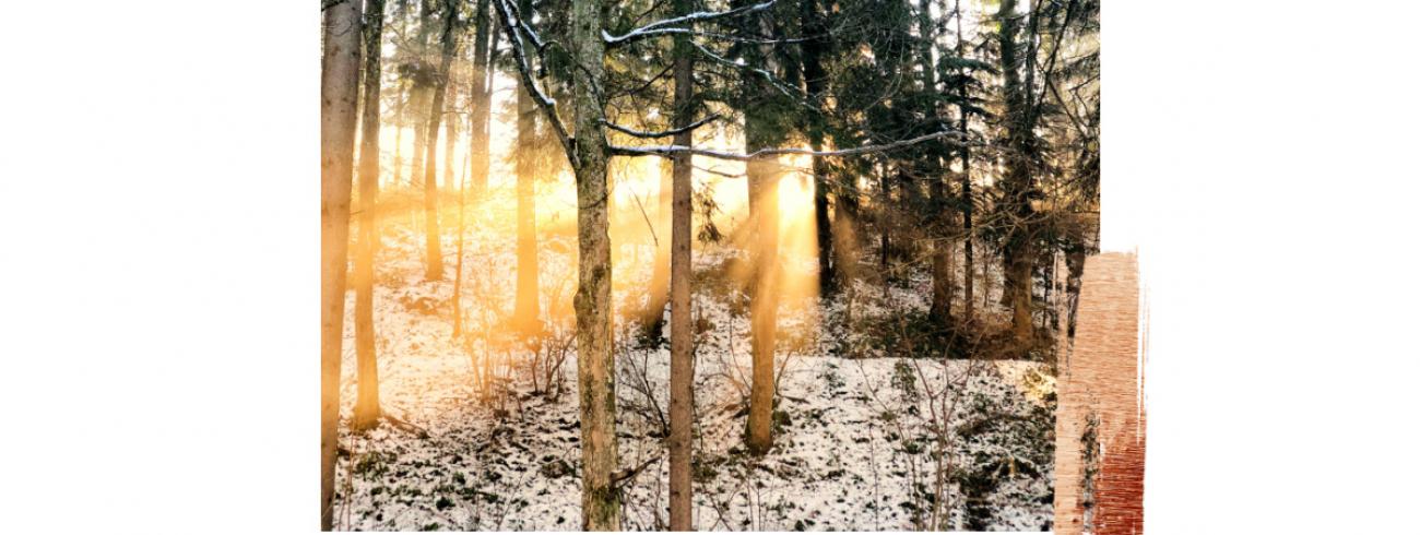 Inspiratie op woensdag 