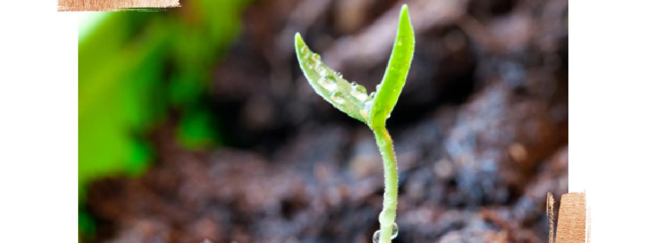 Inspiratie op woensdag 