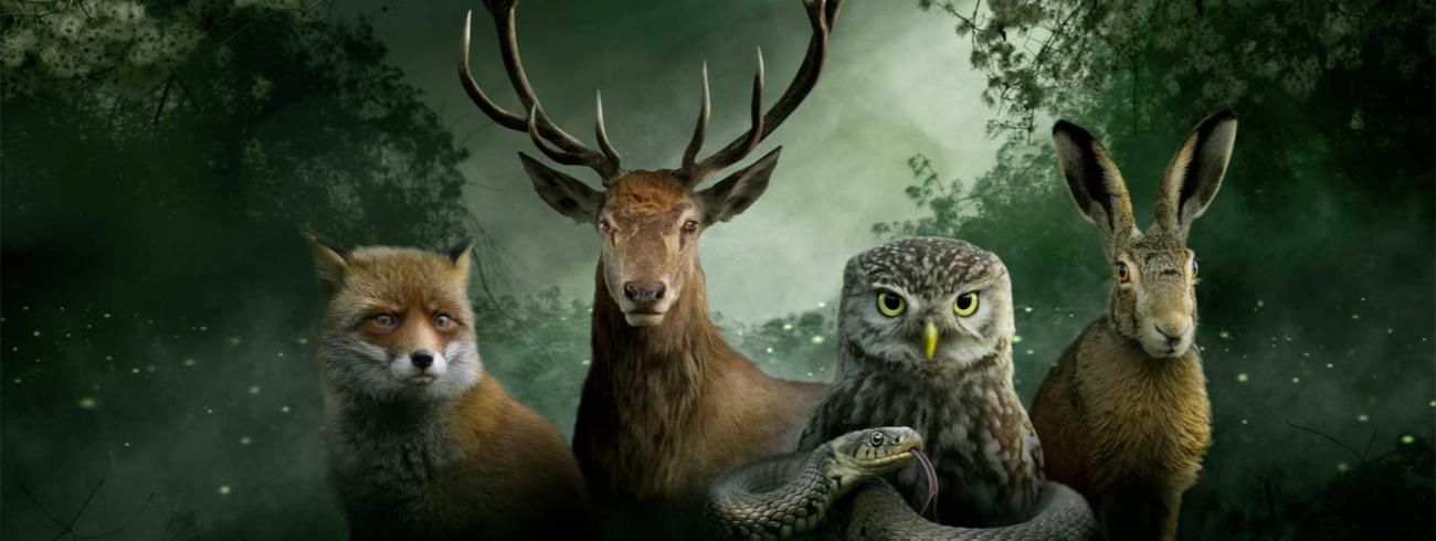 Onze natuur - de film - campagnebeeld © Bozar-Brussel