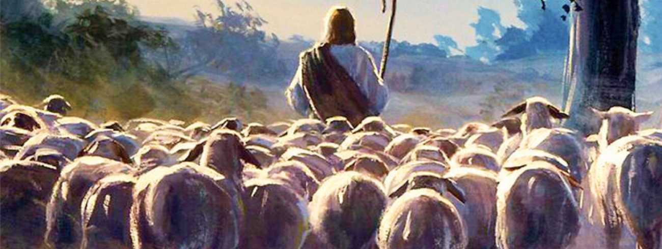 De Goede Herder 