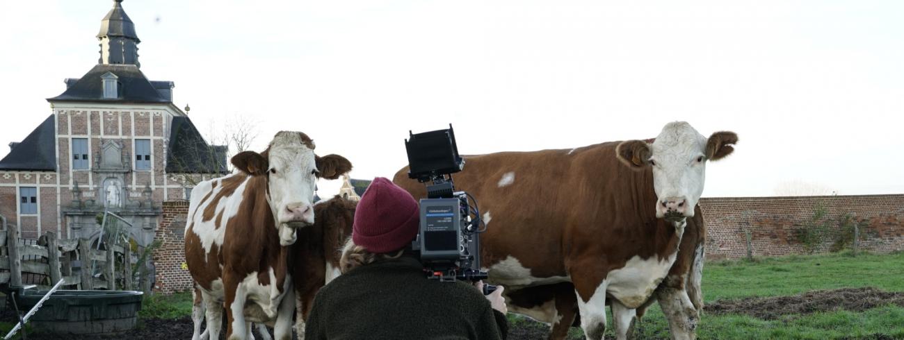 “Voedselsystemen die zoveel mogelijk proberen samen te werken met de natuur en die oog hebben  voor de diversiteit van de bodem, doen het beter en zijn weerbaarder dan industriële landbouw”,  stelt Katelijne Suetens vast.  © Bastiaan Lochs - Mercator.tv