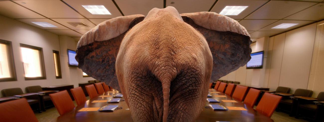“Een belangrijk deel van het kwaliteitsverlies in het Vlaamse onderwijs is niet ontstaan bij gebrek aan eindtermen,  maar met de toepassing ervan. Dat is de olifant in de kamer.” © rr