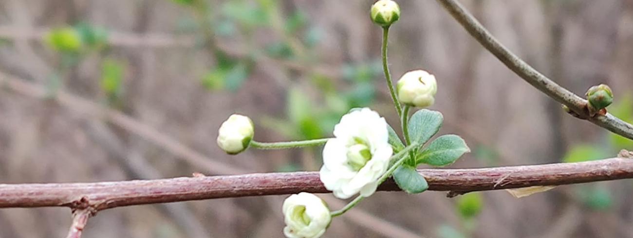 Rouw © Elzbieta Krzyska