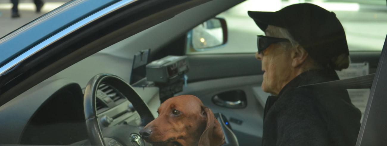 Beslissingen moeten nemen over verhuizen of het  rijbewijs inleveren, is niet niks. Door aandacht te geven aan de ervaring van de oudere reduceer  je de betutteling. © Unsplash