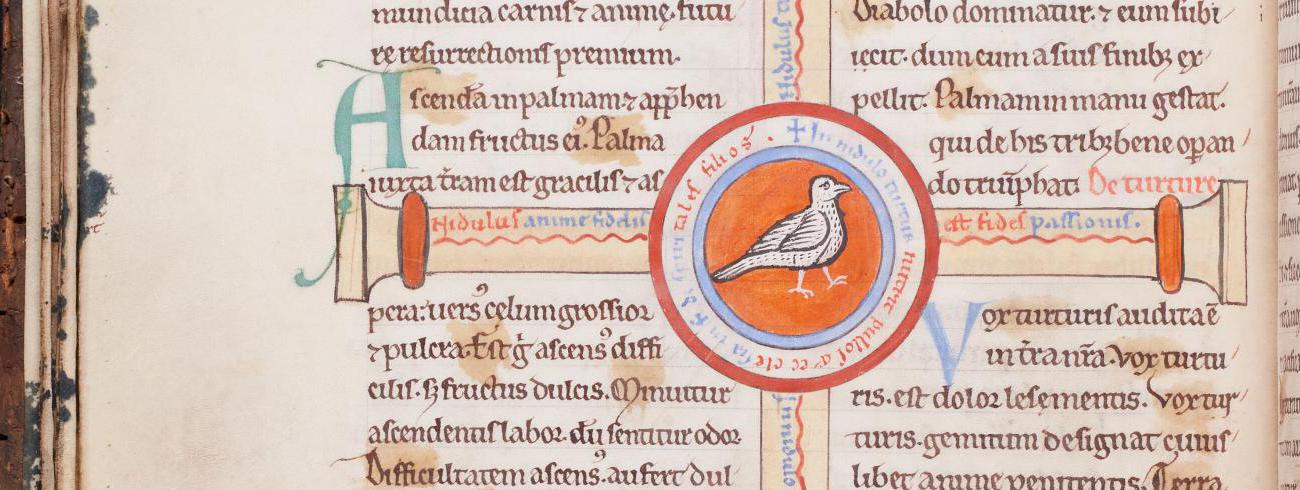 De Avibus (AGSB, Ms. 89/54, fol. 22v) © Stad Brugge