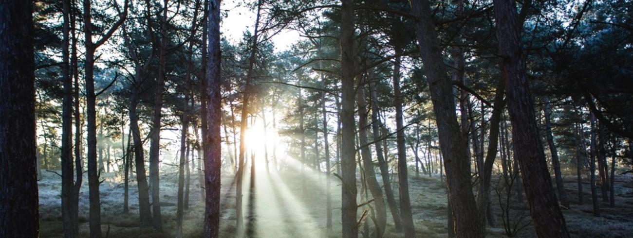 God is als de zon: Hij is er altijd, ook al zien we Hem soms moeilijk... © Yvette Baur winterfotografie