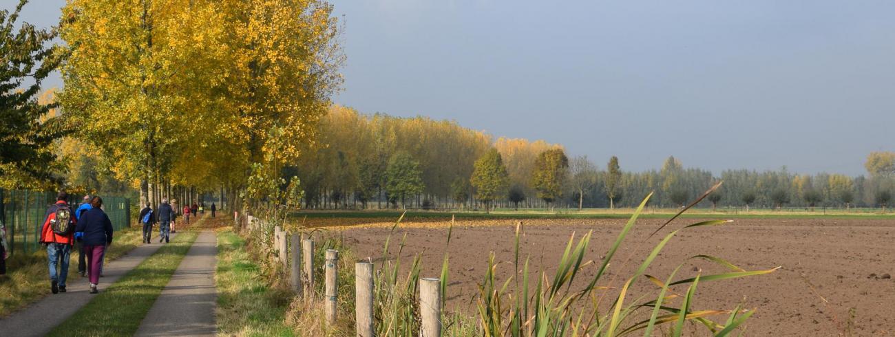 Wandelen in tijden van Corona 