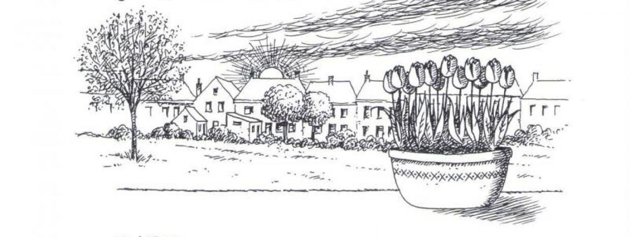 Inspiratie op woensdag 