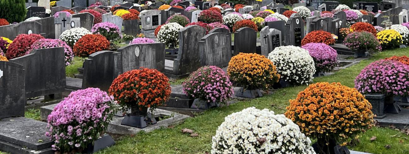 Allerheiligen © Dirk Bellens